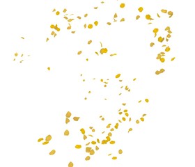 Yellow rose petals fly in the air