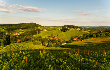 Grape hills and mountains view from wine street in Styria, Austria ( Sulztal Weinstrasse ) in summer.