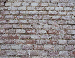 Obraz premium red brick wall background