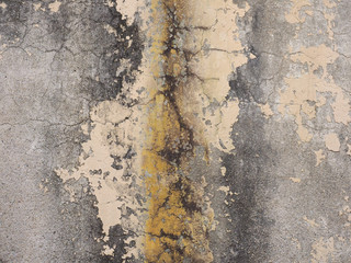 dampness moisture on wall