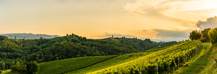 Grape hills and mountains view from wine street in Styria, Austria ( Sulztal Weinstrasse ) in...