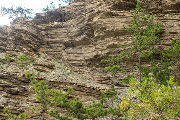 texture of the mountain. stone close up.