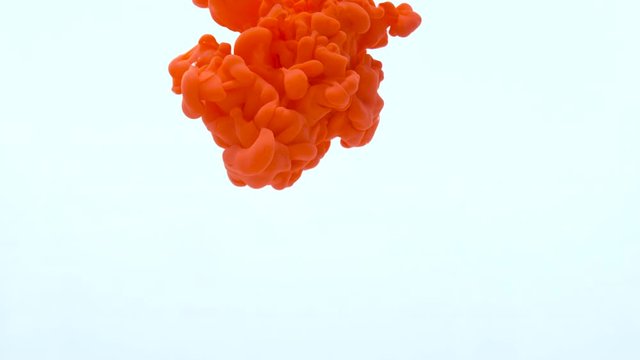 Red ink in water, white background. slow motion