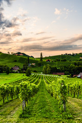 Fototapeta premium Wzgórza winogronowe i góry widok z ulicy wina w Styrii, Austria (Sulztal Weinstrasse) w lecie.
