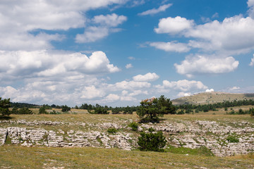 texture of the mountain. stone close up.