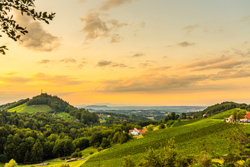 Fototapeta na wymiar Grape hills and mountains view from wine street in Styria, Austria ( Sulztal Weinstrasse ) in summer.