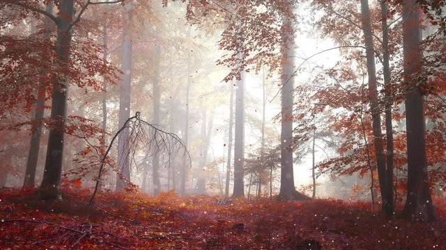 Magic red colored Fairytale autumn foggy red forest with falling leaves.