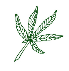 Decorative green illustration leave of big hemp