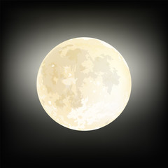 Realistic moon illustration design. Vector image.