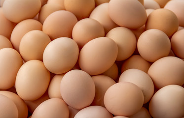 lots of eggs