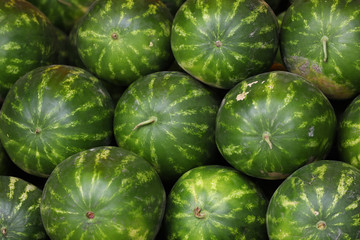 Many green watermelons lie next to each other