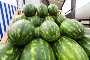 The watermelons laid out on a market stall