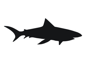 Vector flat black silhouette of swimming shark isolated on white background 