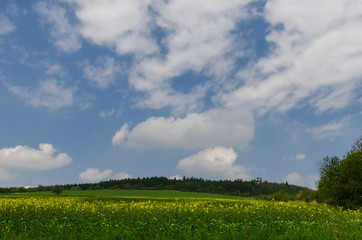 Beautiful and colorful abstract landscape, with rolling hills, green wheat fields and yellow rape fields in South Moravia, Czech Republic