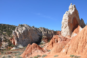 Obraz premium cottonwood canyon road utah