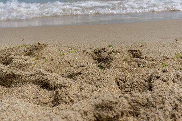Beach close-up: sand and waves