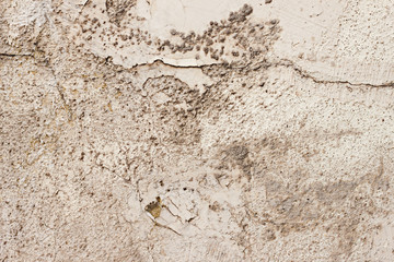 The texture of the plastered wall, the exterior of the building, the old wall cladding, cracked plaster