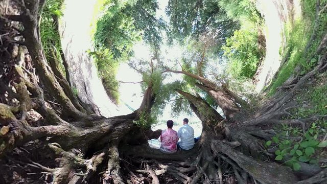 &Auml;lteres Ehepaar sitzt unter Baum und entspannt sich, VR, VR360, 360VR, Kugelpanorama, Little Planet Effekt