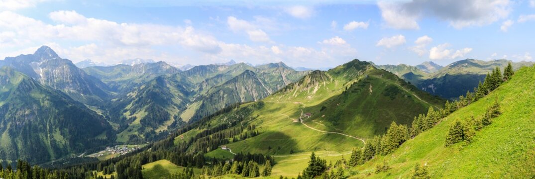 Alpenpanorama vom Walmendinger Horn mit Blick auf das Fellhorn und Kleinwalsertal im Sommer