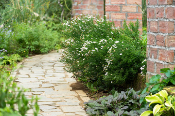 秋のアカオハーブ＆ローズガーデン