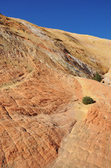 yellow rock mountain in utah americas south west