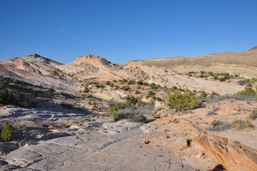 Fototapeta na wymiar Zion canyon nationalpark in utah americas south west