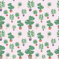 Seamless pattern with variety tropical green houseplants in pots and white background.