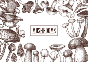 Edible mushrooms vector design. Hand drawn healthy food template. Forest plants sketches. Perfect for recipe, menu, label, icon, packaging. Vintage mushrooms background. Botanical illustration.