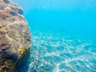 Underwater view of Guadeloupe blue sea