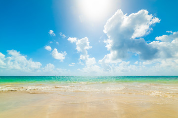 Colorful shore in Pointe de la Saline beach in Guadeloupe