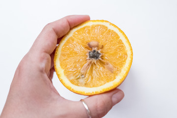 Spoiled orange. The black middle inside the fruit