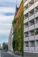 Exquisite upwards view of a colorful living wall in a residential building in front of the Spree river, which passes through Berlin and the Czech Republic