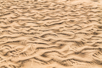 Golden waves texture of sand dunes on river bank