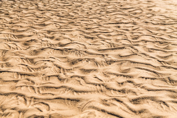 Golden waves texture of sand dunes on river bank