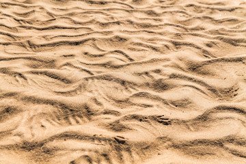 Golden waves texture of sand dunes on river bank