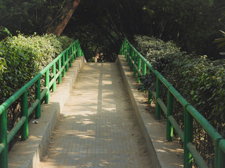 wooden bridge in the garden
