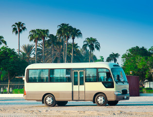 white bus in the desert travel. palm trees and clear blue sky