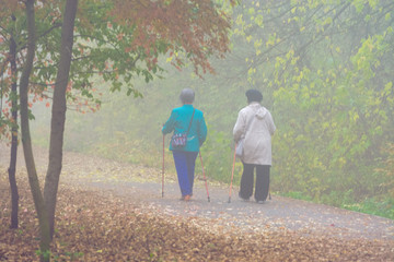 Two elderly women walk in the autumn park on a foggy day