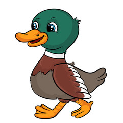 Cute cartoon duck farm animal vector illustration