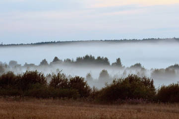 Fototapeta premium foggy morning on the lake