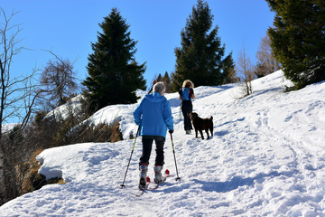 hikers in the mountains on skis