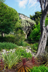 View of the La Alameda Gibraltar Botanic Gardens in Gibraltar