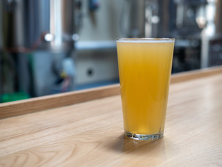 Pint glass of blond beer in front of fermentation tanks and brewery equipment