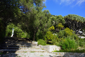 View of the La Alameda Gibraltar Botanic Gardens in Gibraltar