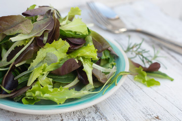 Fresh mixed green salad in round plate, rustic white wooden background. Healthy food, diet concept.