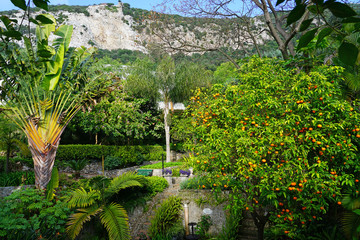 Naklejka premium View of the La Alameda Gibraltar Botanic Gardens in Gibraltar