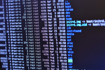 The list of files on the server.