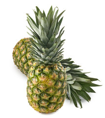 Fototapeta premium close-up image of pineapples on a white background