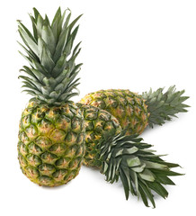 close-up image of pineapples on a white background