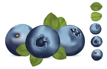 Collection beautiful blueberry with green leaft. 3d fresh realistic berry on white background. Vector illustration.